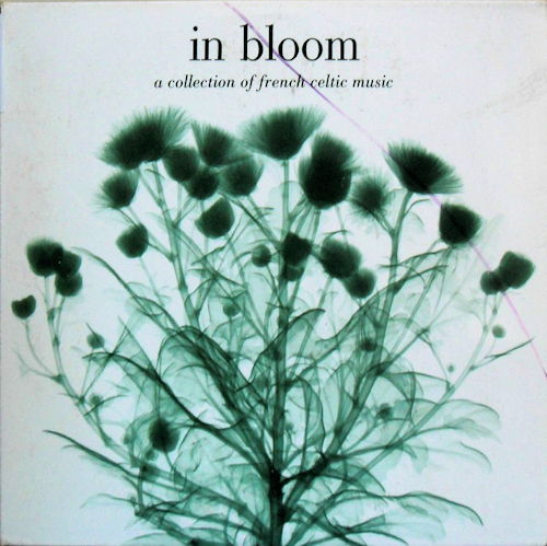 In Bloom - A collection of French Celtic music - Cd2